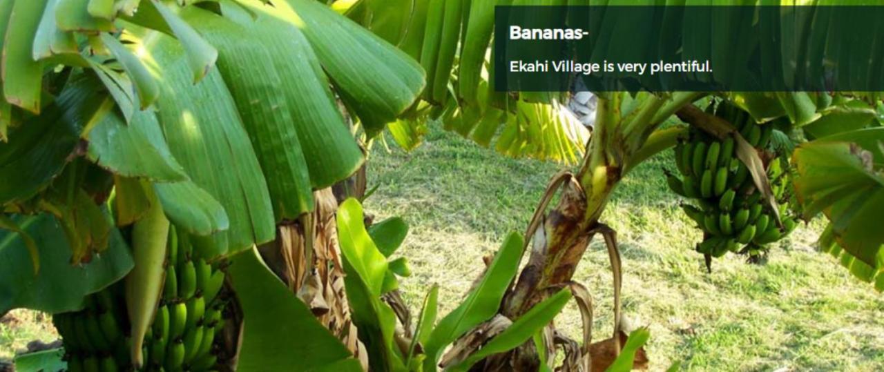 9B Ekahi Village-Studio Bath, Garden View - 1 Minute Stroll To Beach! Wailea  Eksteriør bilde