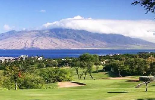 9B Ekahi Village-Studio Bath, Garden View - 1 Minute Stroll To Beach! Wailea  Eksteriør bilde